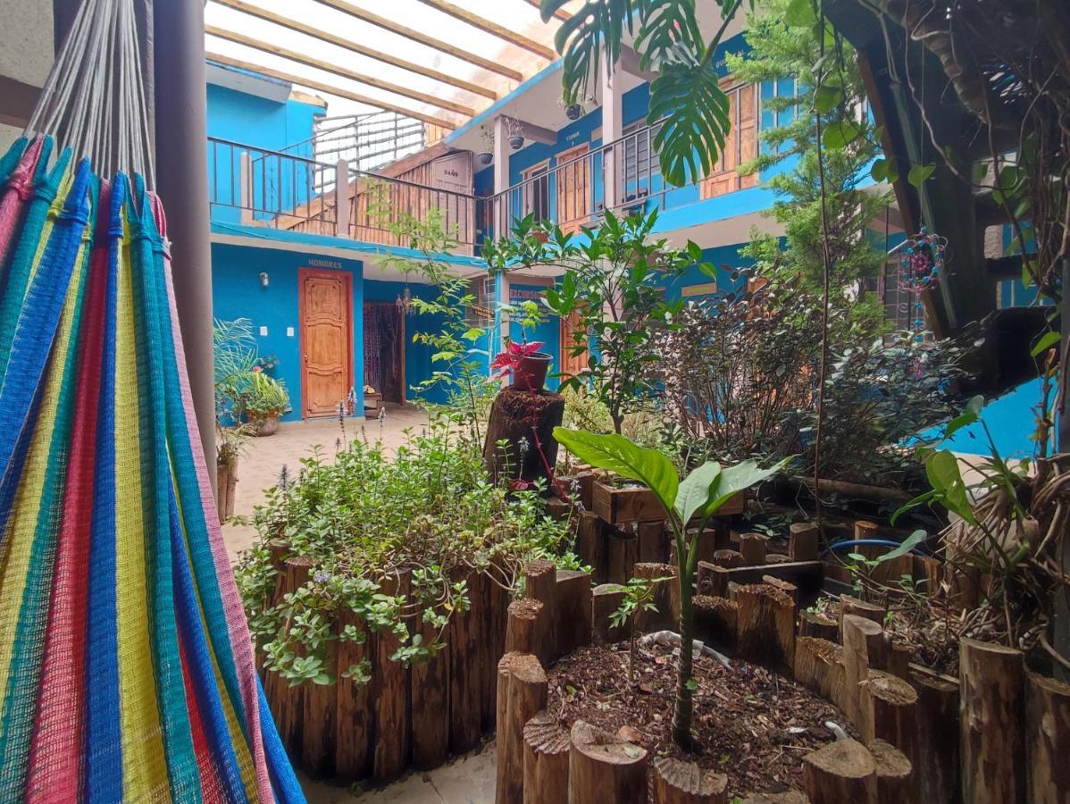 Hostal Ikal San Cristóbal de Las Casas 외부 사진